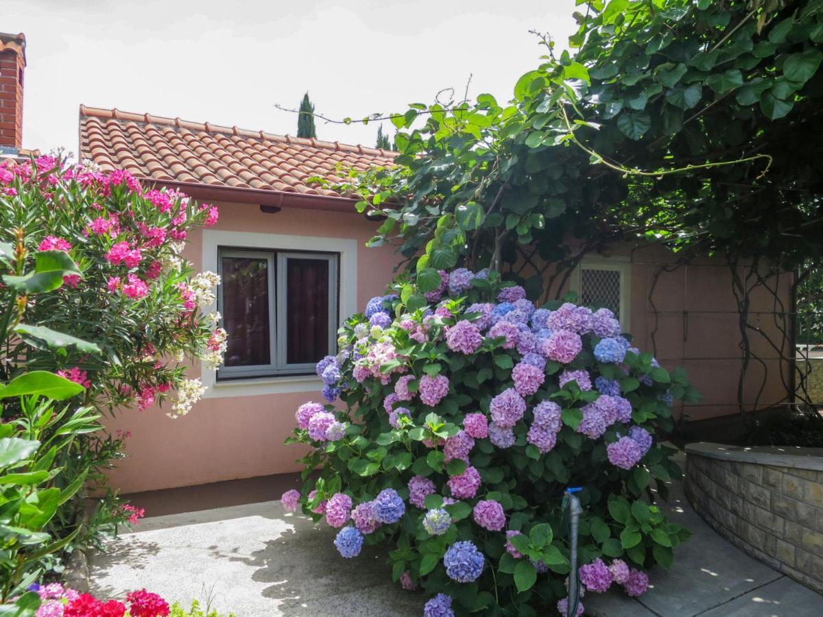 Holiday Home Catarina 1 - Zad113 By Interhome زادار المظهر الخارجي الصورة